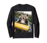 Funny Cat Roller Coaster Silly Meme American Shorthair Manche Longue