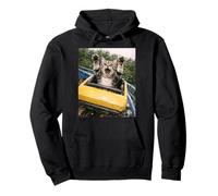 Funny Cat Roller Coaster Silly Meme American Shorthair Sweat à Capuche