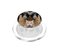 Funny Cat Selfie with Pigs Design - Cute Animal Pig Lovers PopSockets PopGrip pour MagSafe