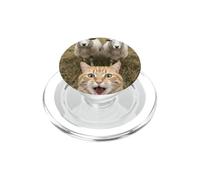 Funny Cat Selfie with Sheep Cute Farm Animal Kids & Adults PopSockets PopGrip pour MagSafe