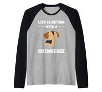 Funny Cute Dog Life is Better with a Chiweenie Manche Raglan