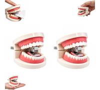 Funny Denture Shaped Stapler, Novelty Teeth Shaped Mini Desktop Stapler，B 2 | Novelty Denture Stapler ,Novelty Teeth Shaped Mini Desktop Stapler For Home Women Men Adults Indoor School Classroom