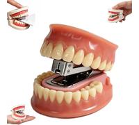 Funny Denture Shaped Stapler, Novelty Teeth Shaped Mini Desktop Stapler，C 1 | Novelty Denture Stapler ,Novelty Teeth Shaped Mini Desktop Stapler For Home Women Men Adults Indoor School Classroom