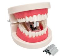 Funny Denture Shaped Stapler, Tooth-Shaped Staple | Portable Handheld Stapler with 24/6 Staples, Novelty Office Present For Dentist Dental Clinic