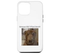 Funny Dog Lovers Frères et sœurs Grandkids Grams Did What Meme Coque pour iPhone 12 Pro Max