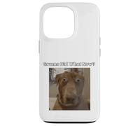 Funny Dog Lovers Frères et sœurs Grandkids Grams Did What Meme Coque pour iPhone 13 Pro