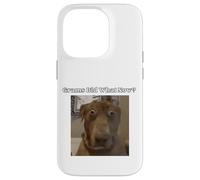 Funny Dog Lovers Frères et sœurs Grandkids Grams Did What Meme Coque pour iPhone 14 Pro