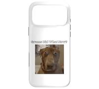 Funny Dog Lovers Frères et sœurs Grandkids Grams Did What Meme Coque pour iPhone 17 Pro Max