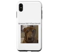 Funny Dog Lovers Frères et sœurs Grandkids Grams Did What Meme Coque pour iPhone XS Max