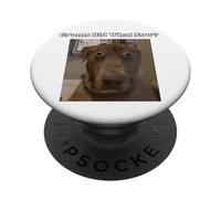 Funny Dog Lovers Frères et sœurs Grandkids Grams Did What Meme PopSockets PopGrip Adhésif