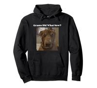 Funny Dog Lovers Frères et sœurs Grandkids Grams Did What Meme Sweat à Capuche