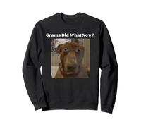 Funny Dog Lovers Frères et sœurs Grandkids Grams Did What Meme Sweatshirt
