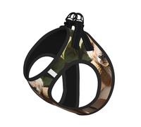 Funny For Kangaroo Zoo Ensemble harnais et laisse réfléchissant réglable pour chats, chiens et petits animaux de compagnie, gilet de marche en maille douce et respirante avec laisse anti-fuite