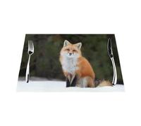 Funny Fox Lot de 4 sets de table tissés antidérapants en PVC pour cuisine, salle à manger, faciles à nettoyer, 45 x 30 cm