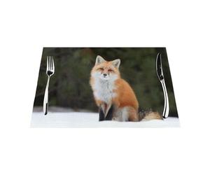 Funny Fox Lot de 4 sets de table tissés antidérapants en PVC pour cuisine, salle à manger, faciles à nettoyer, 45 x 30 cm