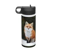 Funny Fox Printing Cantines d'hydratation étanches en acier inoxydable pour camping randonnée 532 ml