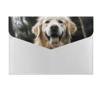 Funny Golden Retriever Organiseur de documents en accordéon à 6 poches avec étiquettes, dossiers de documents de voyage, enveloppes en plastique avec fermeture à pression, 33 x 23 cm