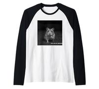 Funny Hamster Flipping Off Middle Finger on Security Camera Manche Raglan