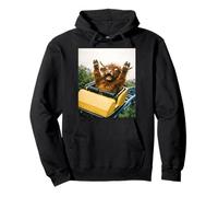 Funny Highland Cow Roller Coaster Meme Silly Graphic Sweat à Capuche