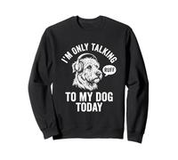 Funny Introvert Dog Headphones Ruff Talk Today Citation Shirt Sweatshirt