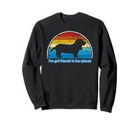 Funny I've Got Friends in Low Places for Basset Hound Lovers Sweatshirt