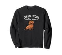 Funny Mens Womens Girl Friends in Low Places Dachshund Lover Sweatshirt