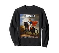Funny Napoleon Bonaparte David Chat Français Funny Cat Horse Sweatshirt
