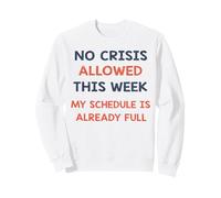 Funny Office Desk Professional Admin Team Assistant Manager Sweatshirt