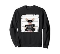 Funny Prison Tees: T-shirt Chihuahua très mauvais chien Sweatshirt