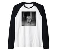 Funny Raccoon Flipping Off Middle Finger on Security Camera Manche Raglan