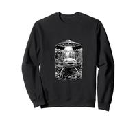 Funny Saying I'm Just Little Alien But I'm Here Help Sweatshirt