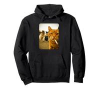 Funny Smoking Cat Meme Cigarette Cat Hilarious Cats Gang Sweat à Capuche