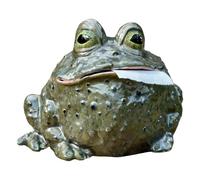 Funny Tissue Box Cover - Cute Resin Toad Figurine, Modern Decorative Sculpture with High-Gloss Finish, Compact Magnate Base, Stress Reliever Vibe, Special Holder for Bathroom and Bedroom