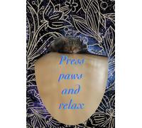 Funny Unruled Cat Notebook - Original Design, Unisex & All Ages: Cuaderno Divertido con Gatos Adorables -Sin Guía, Original, Unisex y para Todas las Edades