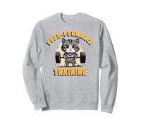 Funny Weightlifting Gym Cat Beast Workout Mode Gift Sweatshirt