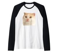 Funny Weird Cat Face Meme Silly Hilarious Cat Confused Manche Raglan