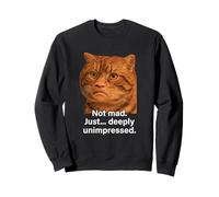 Funny Weird Cat Face Meme Silly Hilarious Mad Cat Confused Sweatshirt