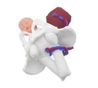 FUNOMOCYA 1 ensemble Simulateur Accouchement pour Formation Scolaire et Démonstration Obstétricale Incluant Fœtus Cordon Ombilical et Placenta
