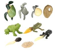 FUNOMOCYA 2 Ensembles Figurines Animaux Évolution Tortue et Amphibien Modèles Solides Jouets Éducatifs pour Garçon Fille Décoration et Apprentissage des Stades de Croissance