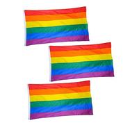 FUNOMOCYA 2 Ensembles Lot De Drapeaux Arc Ciel Polyester Bannières Colorées Pour Décoration Fête Lgbtq Intérieur Extérieur 3 Pièces * 2
