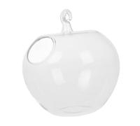 FUNOMOCYA Apple Shaped Desktop Fish Bowl Transparent Glass Aquarium for Office Home Decor Minimalist Tabletop Terrarium
