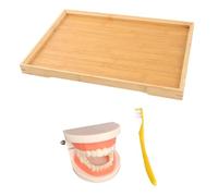 FUNOMOCYA Éducatif de Modèle pour Garçon Fille Apprentissage Précoce Brossage des Dents avec Plateau Outil Pédagogique pour Développer les Compétences de Vie des Tout Petits