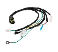 FUNOMOCYA Faisceau De Câbles De Motocross Faisceau De Câbles De Tout-Électrique Kit D'Adaptateur De Tout-Ensemble De Câblage
