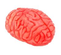 FUNOMOCYA Faux Cerveau Accessoire D'halloween Organe Humain Effrayant Pour Un Un Sort