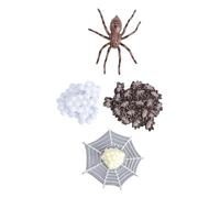 FUNOMOCYA Modèle de Cycle de Vie Insecte Éducatif pour Garçons Filles Simulation Réaliste Araignée et Autres Animaux Jeu Éveil Scientifique pour Préscolaire et Fête