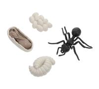 FUNOMOCYA Modèle de Simulation Réaliste du Cycle de Vie des Fourmis Ouvrières Kit Éducatif 4 Pièces D’Exposition Léger et Portable pour Apprentissage Précoce et Découverte Nature