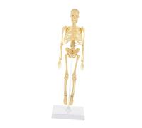 FUNOMOCYA Modèle de Squelette Mannequin Assemblage DIY pour Garçon Fille Éducatif Squelette Anatomique Amovible avec Bras et Jambes Mobiles Parfait pour Apprentissage