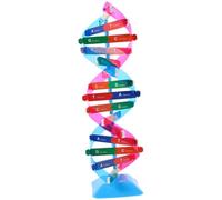 FUNOMOCYA Modèle Double Hélice Précis pour Enseignement Biologie Kit Scientifique Interactif Outil Éducatif pour Apprentissage Gènes et Structure Génétique