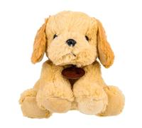 FUNOMOCYA Peluche Chien Retriever Réaliste Douce et Souple Ornement Adorable pour Garçon Fille Cadeau Anniversaire Peluche Animal Câlin