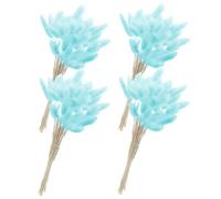 FUNOMOCYA Queues de Lapin Fleurs Séchées Naturelles 60 Tiges Bleu Clair Bouquet Plante Séchée Naturelle Décoration Mariage Maison Jardin Fête Composition de Fleur